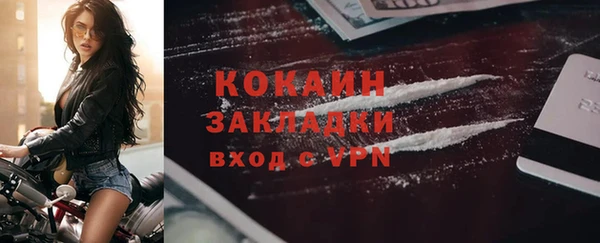 прущие грибы Белокуриха
