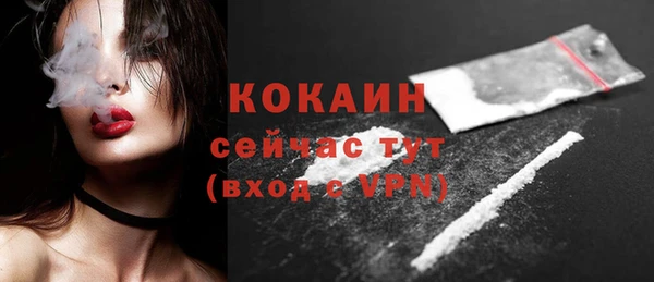 прущие грибы Белокуриха