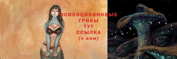 тгк Беломорск