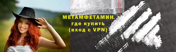 прущие грибы Белокуриха
