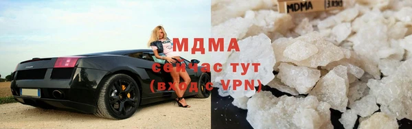 прущие грибы Белокуриха