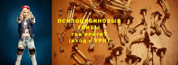 прущие грибы Белокуриха